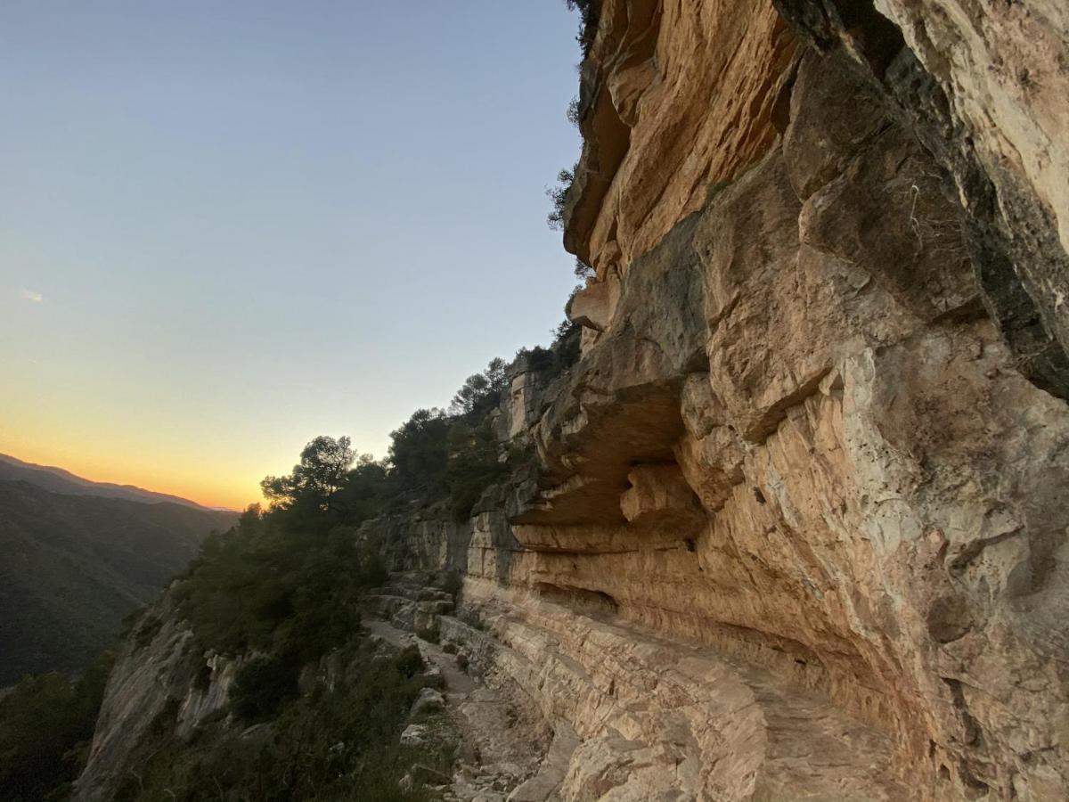Apartaments Chenin Blanc-Priorat- Cornudella de Montsant Dış mekan fotoğraf