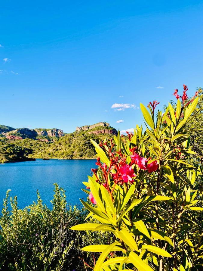 Apartaments Chenin Blanc-Priorat- Cornudella de Montsant Dış mekan fotoğraf